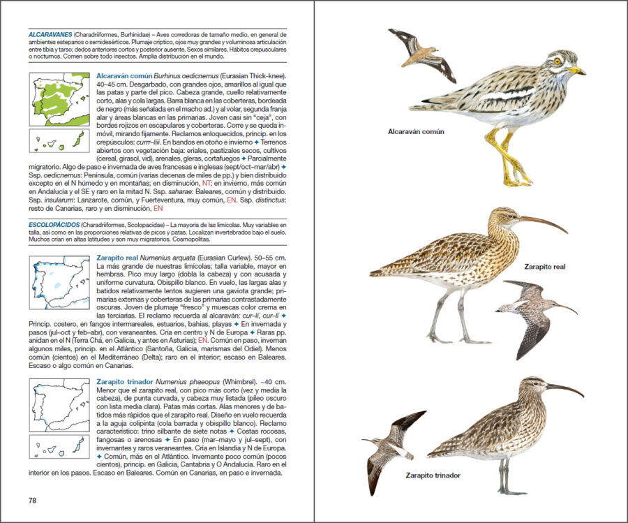 Aves de España sample page